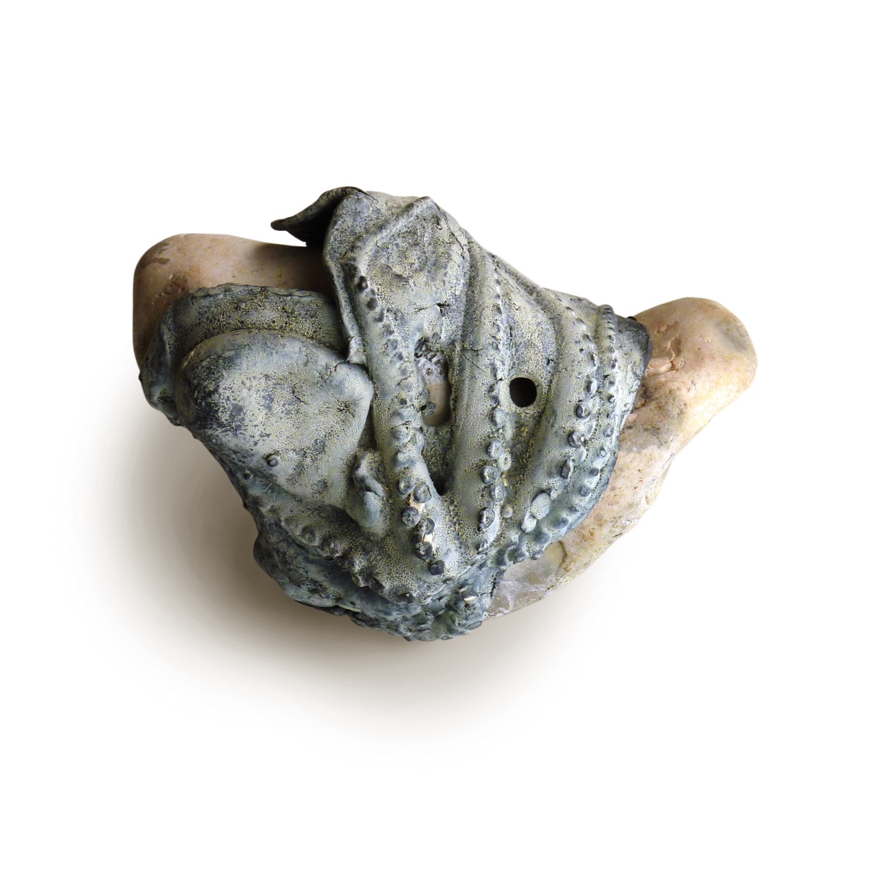 Rock Octopus I (2015)