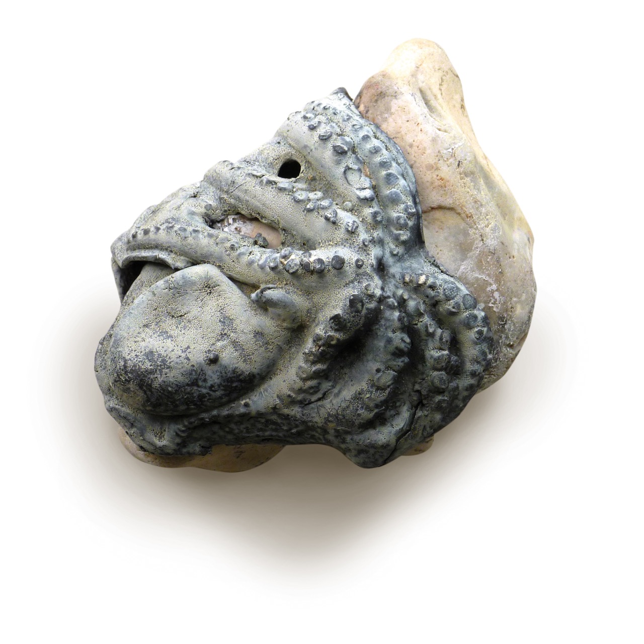 Rock Octopus I (2015)